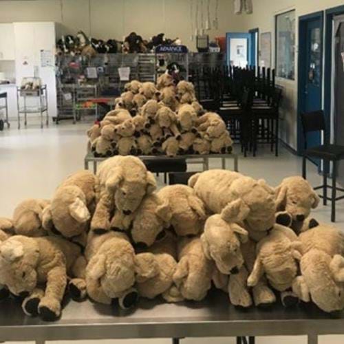 IKEA Richmond helps our Veterinary Nursing students with at-home learning
