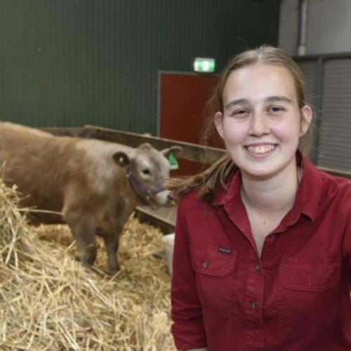 Agriculture Student Abbey Wright sitting on hay bales with cow in a stable behind her.