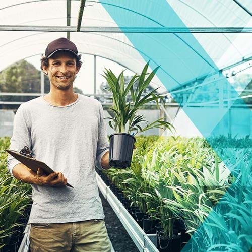 Man in greenhouse holding a clipboard and plant