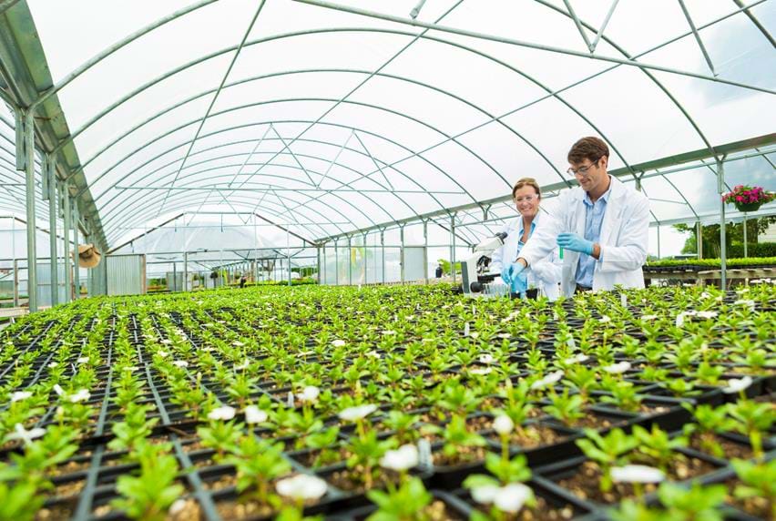 Two people wearing coats and gloves undertaking tests on plants in a greenhouse