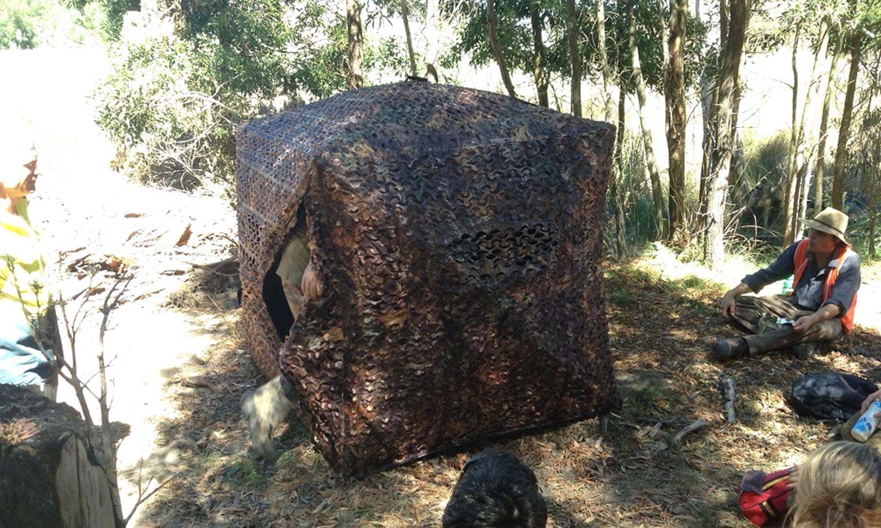 camouflaged deer monitoring tent
