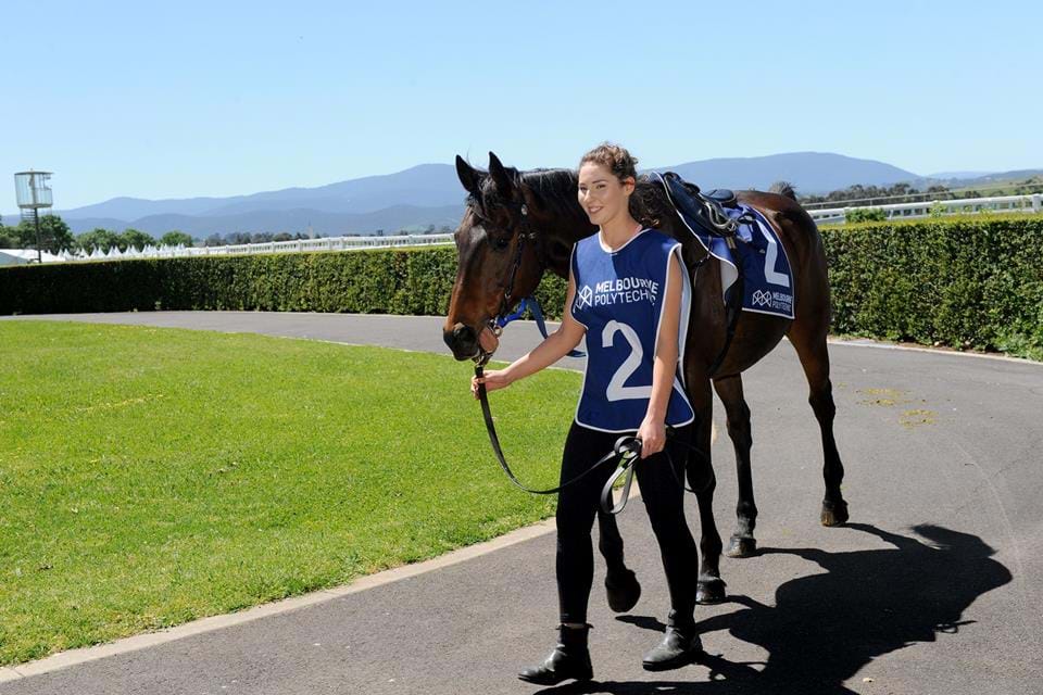 Equine Studies, Melbourne Polytechnic student walking horse around path at a racing track