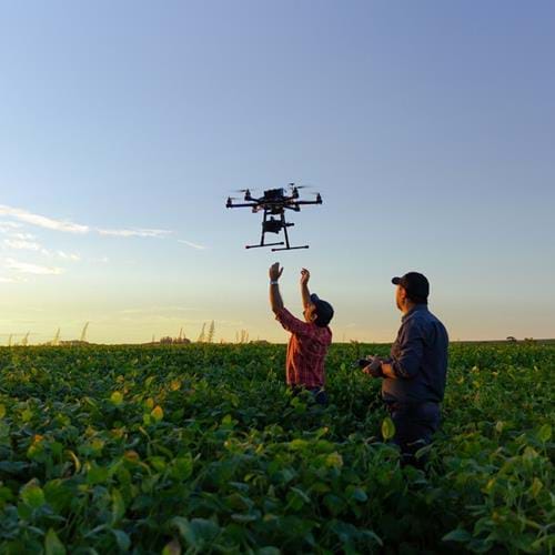 Men using a drone in a field